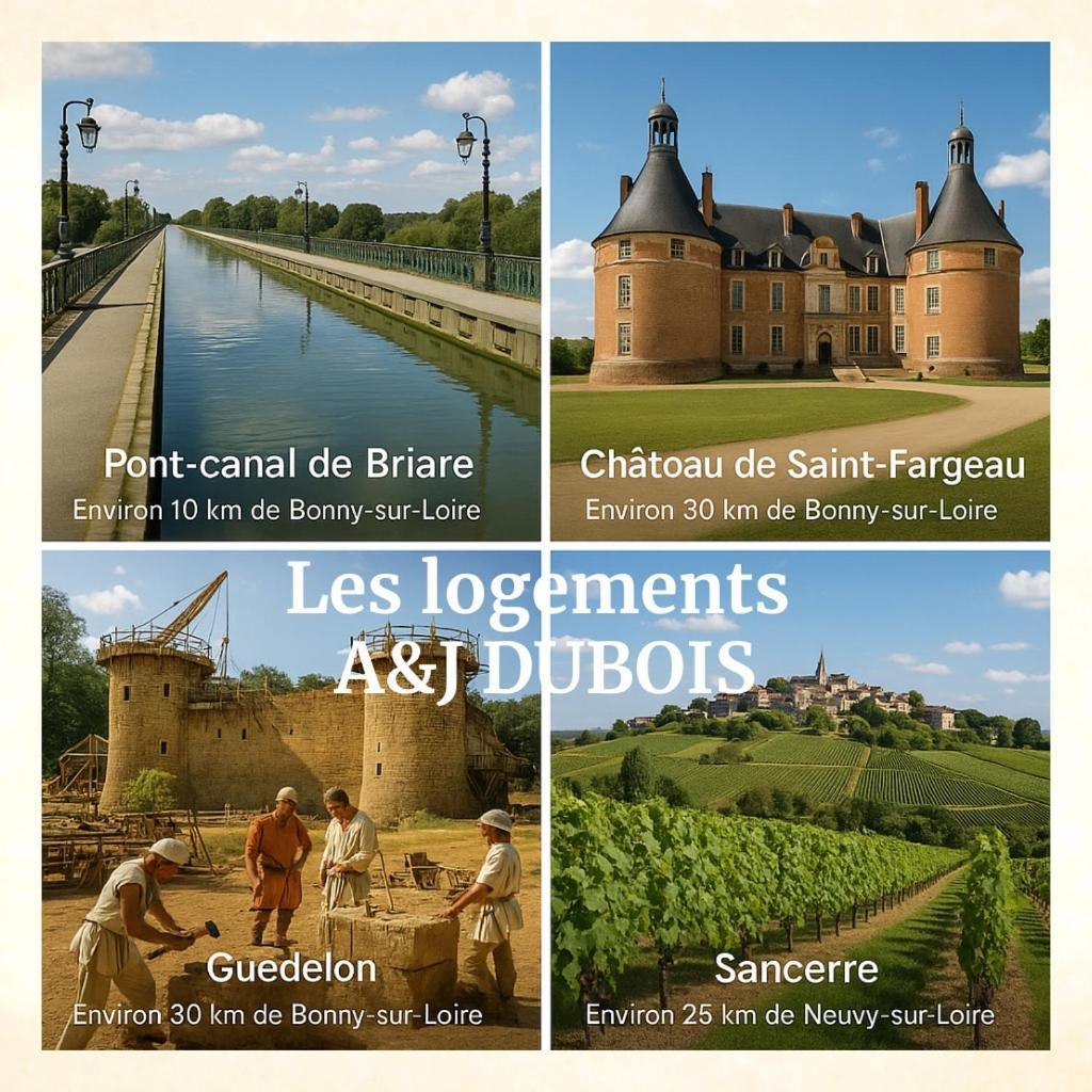 A&J Family - Neuvy Sur Loire - Guedelon Villa ภายนอก รูปภาพ